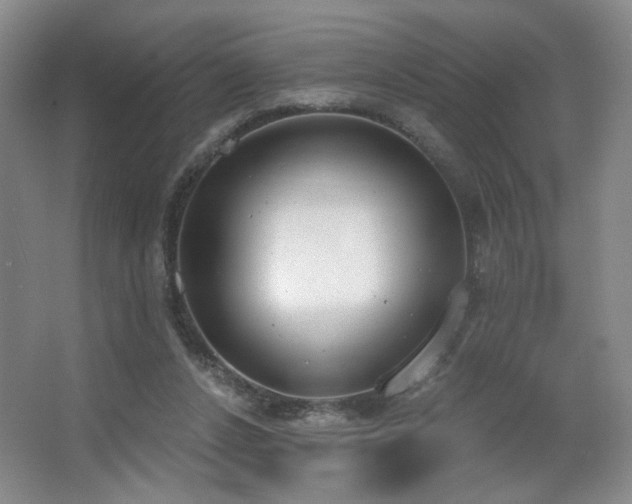 X0000067330256200603311107