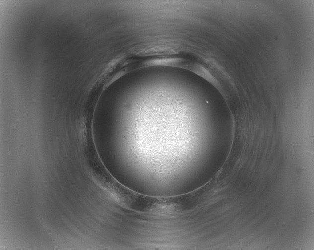 X0000067330260200603311107