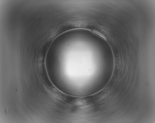 X0000067330263200603311107