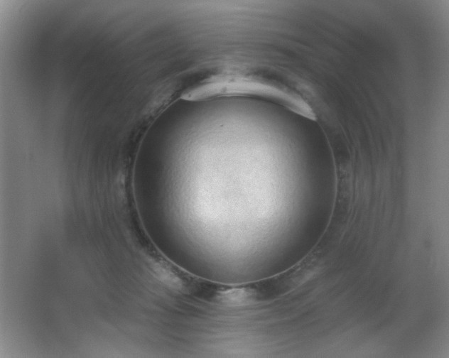 X0000067330269200603311108
