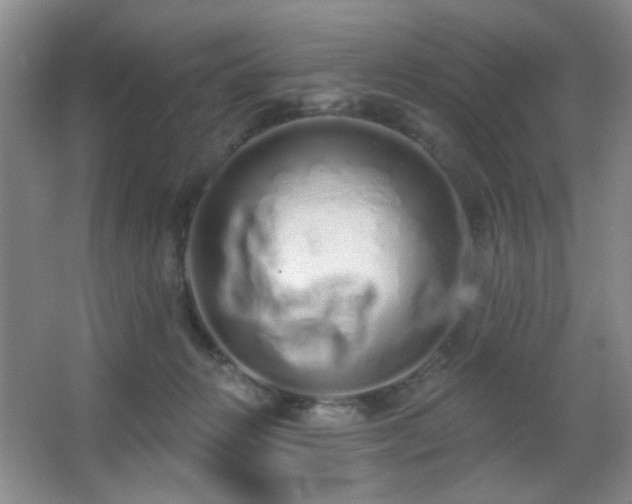 X0000067330270200603311108