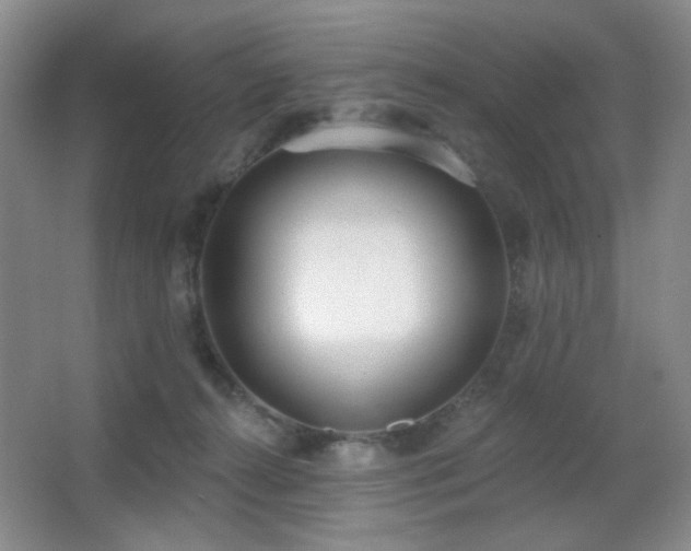 X0000067330272200603311108