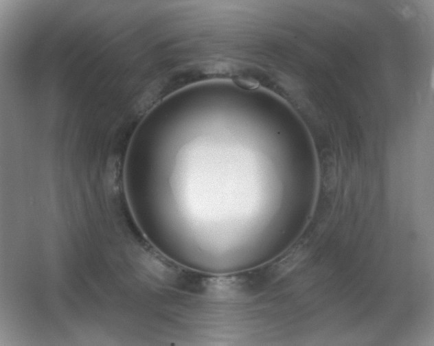 X0000067330273200603311108