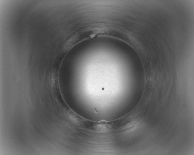 X0000067330277200603311108