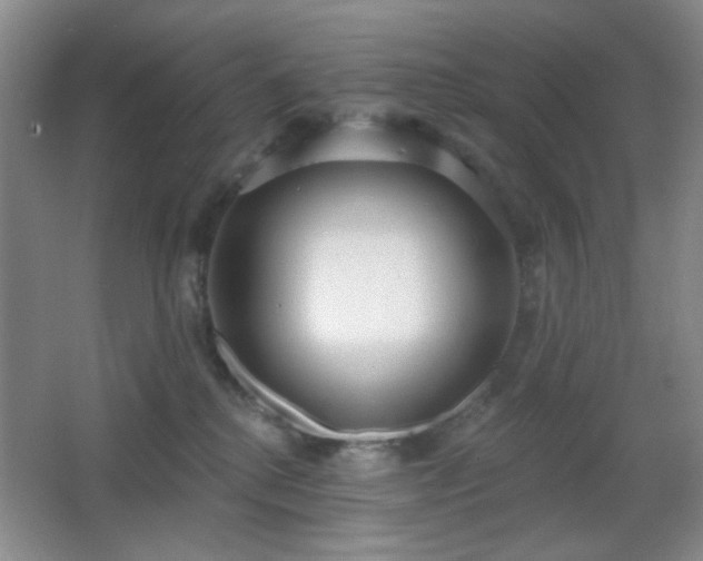 X0000067330280200603311108