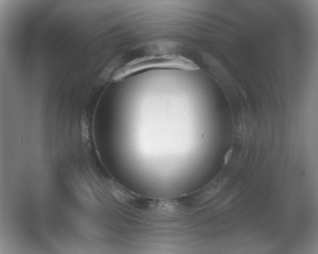 X0000067330282200603311108