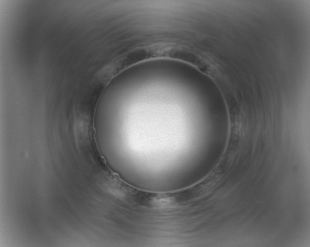 X0000067330283200603311108