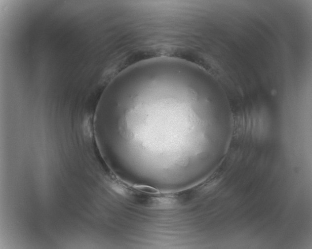X0000067330286200603311108