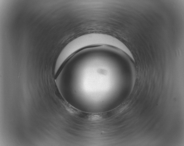 X0000067330287200603311108