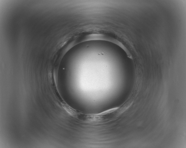 X0000067330288200603311108