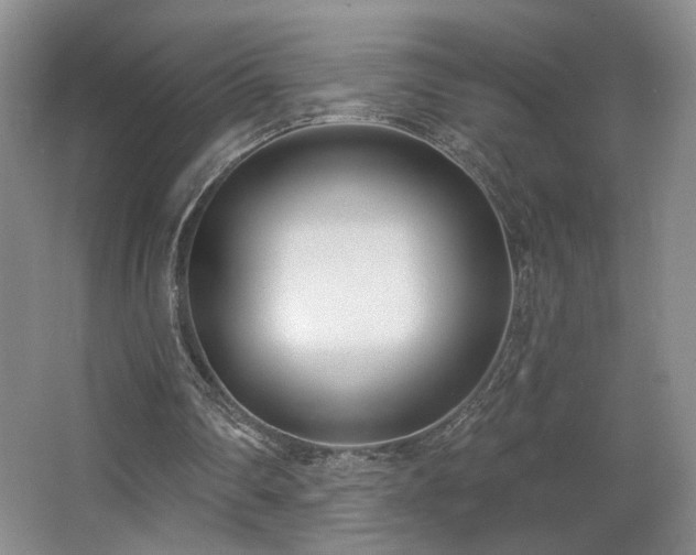 X0000067330290200603311107