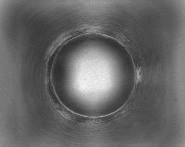 X0000067330291200603311107