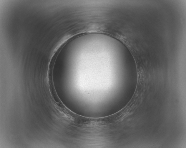 X0000067330292200603311107