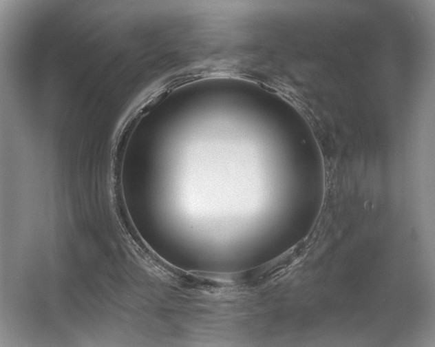 X0000067330293200603311107