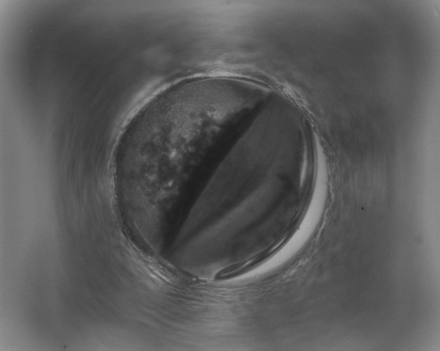 X0000067330295200603311107
