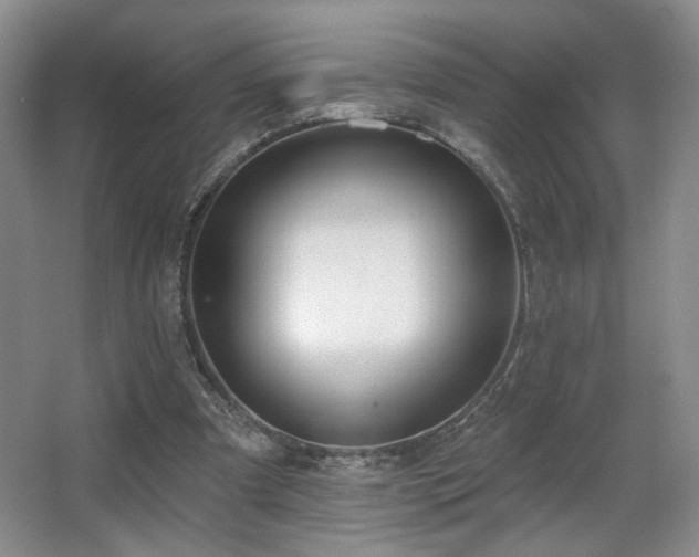 X0000067330297200603311107