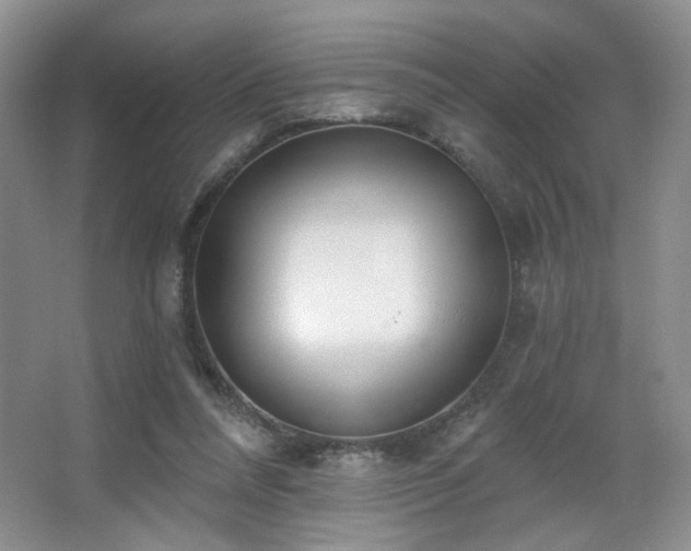X0000067330304200603311107