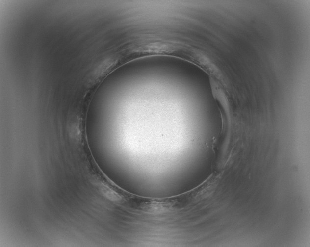 X0000067330305200603311107