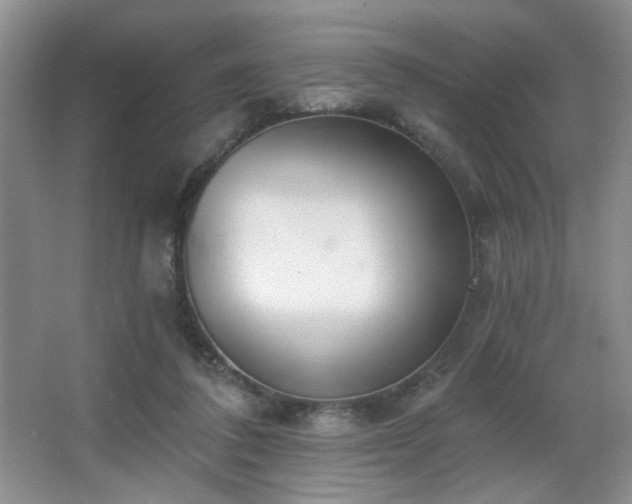 X0000067330308200603311107