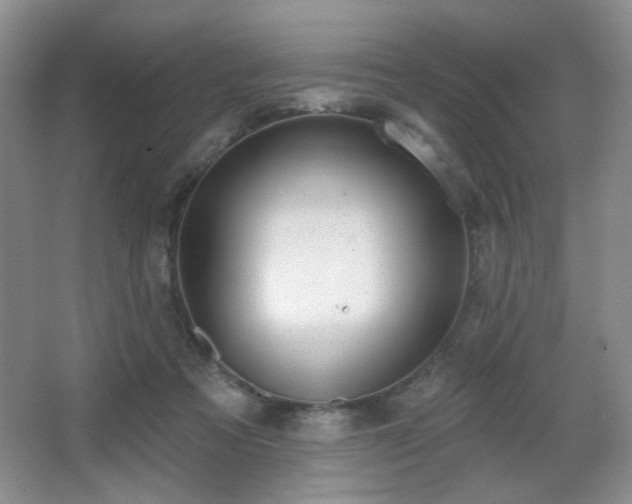 X0000067330313200603311107