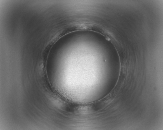 X0000067330314200603311107