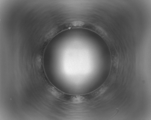 X0000067330321200603311107
