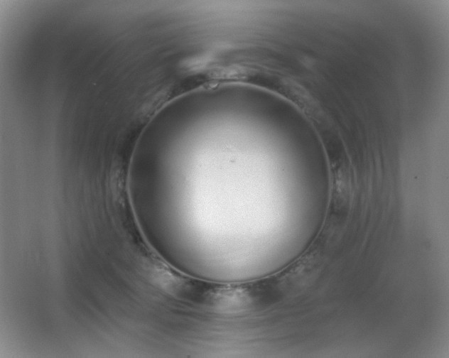 X0000067330322200603311107