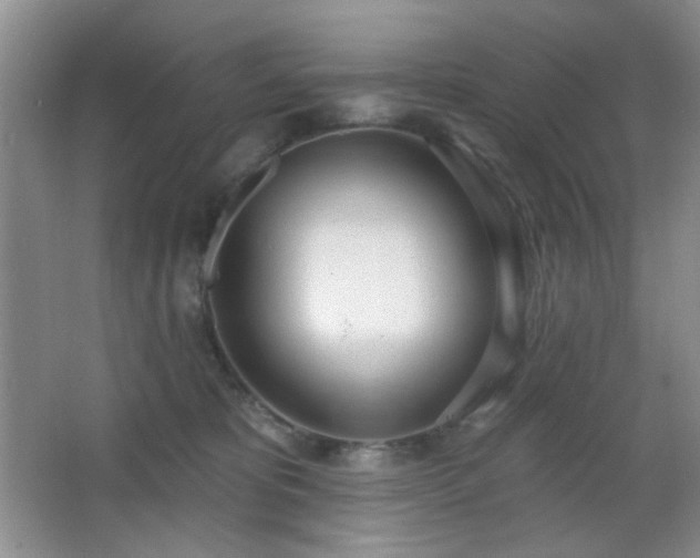 X0000067330325200603311106