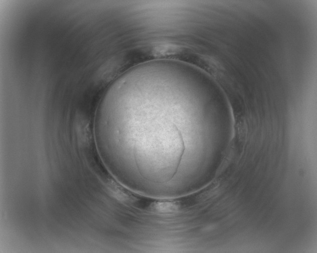 X0000067330327200603311106