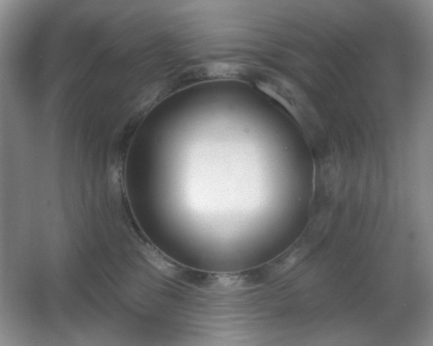X0000067330329200603311106