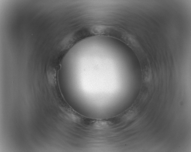 X0000067330332200603311106