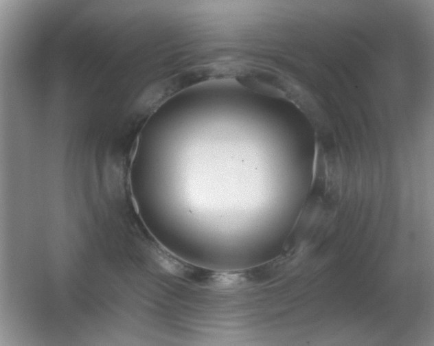 X0000067330333200603311106