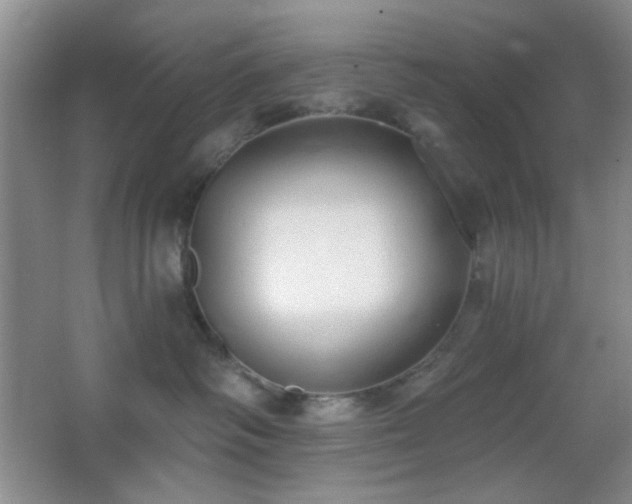 X0000067330334200603311106