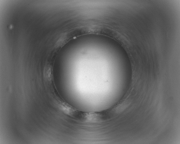 X0000067330336200603311106