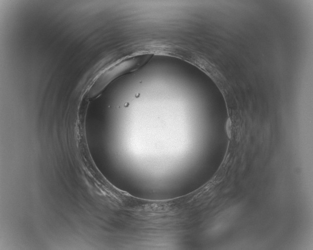 X0000067330338200603311106