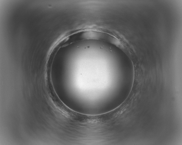 X0000067330344200603311106