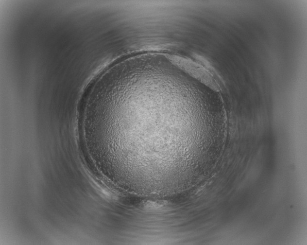 X0000067330346200603311106