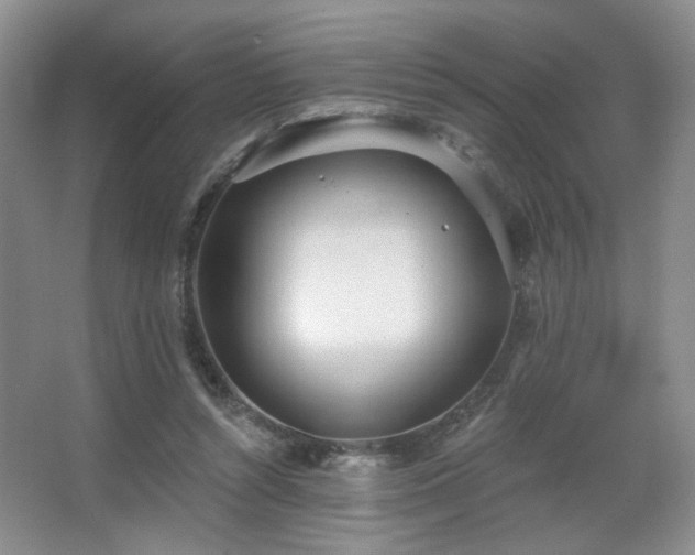X0000067330352200603311106