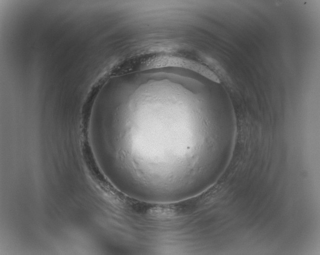 X0000067330354200603311106