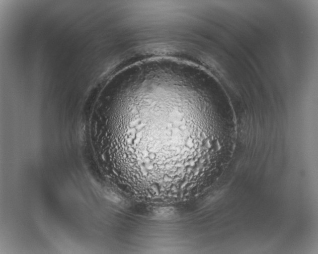 X0000067330355200603311106
