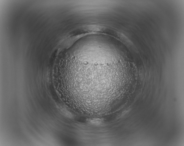 X0000067330359200603311106