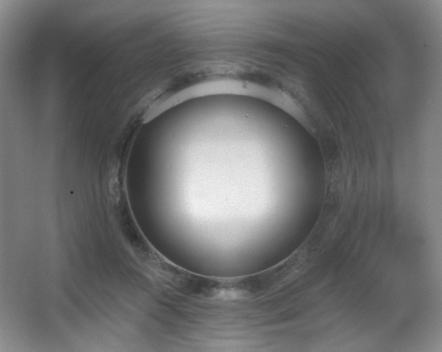 X0000067330360200603311106