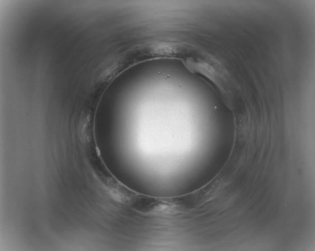 X0000067330364200603311106