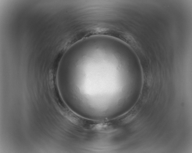 X0000067330366200603311106