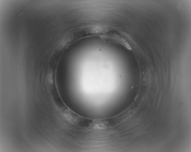 X0000067330368200603311106