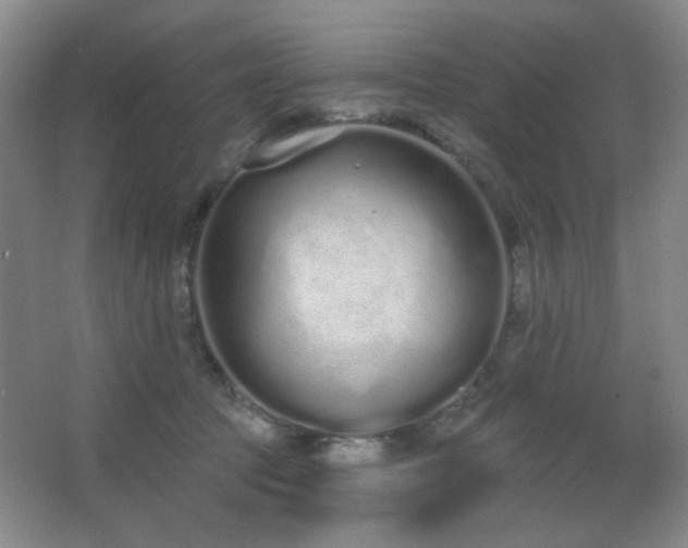 X0000067330369200603311106
