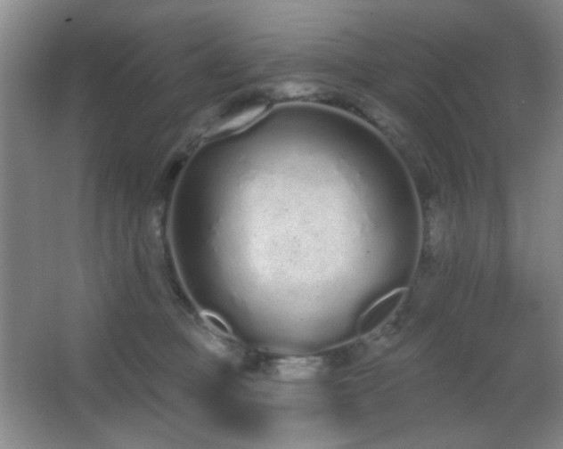 X0000067330373200603311106