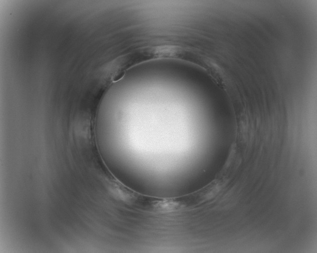 X0000067330379200603311106