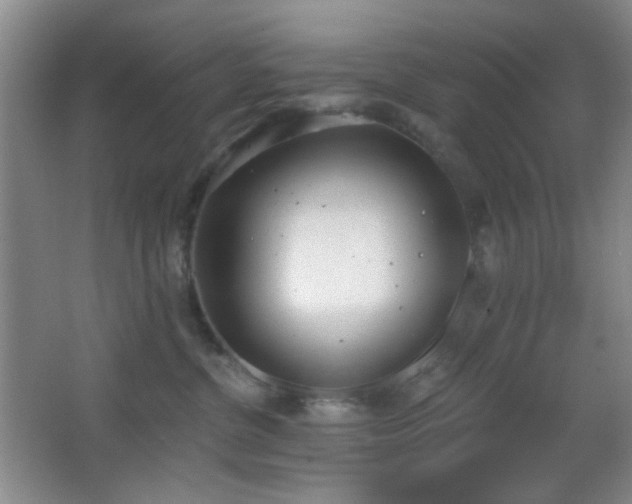 X0000067330380200603311106