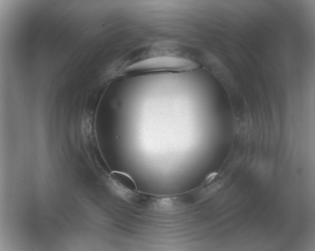 X0000067330382200603311106